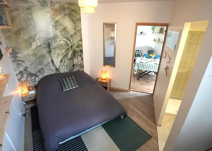 Appartement Au Coeur Du Mans